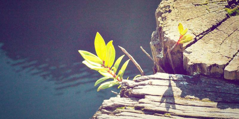 从《堡垒之夜》到未来宇宙:沉浸式社交游戏如何重新定义“玩游戏”