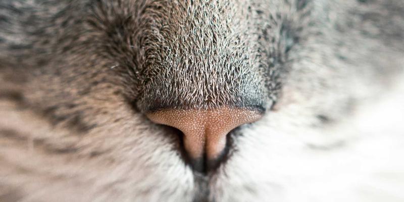 《原神》多端畅玩背后的技术博弈：跨平台数据同步如何实现“无缝”与妥协？